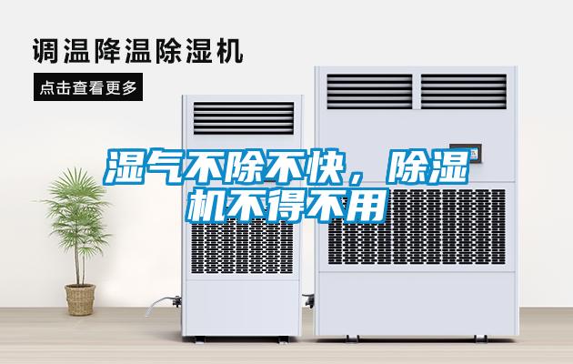 濕氣不除不快，91看片网站视频機不得不用