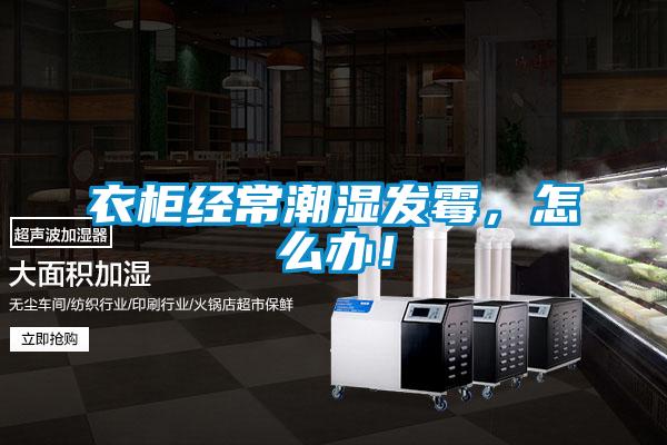衣櫃經常潮濕發黴，怎麽辦！
