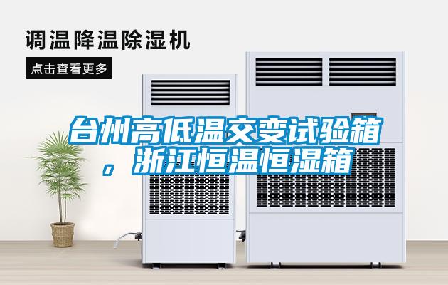 台州高低溫交變試驗箱，浙江恒溫恒濕箱