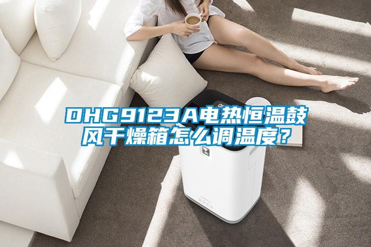 DHG9123A電熱恒溫鼓風幹燥箱怎麽調溫度？