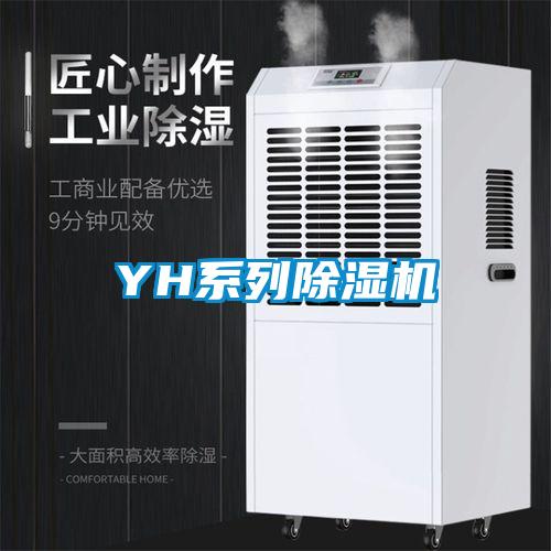YH係列91看片网站视频機