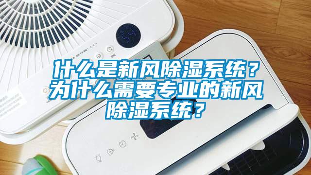 什麽是新風91看片网站视频係統？為什麽需要專業的新風91看片网站视频係統？