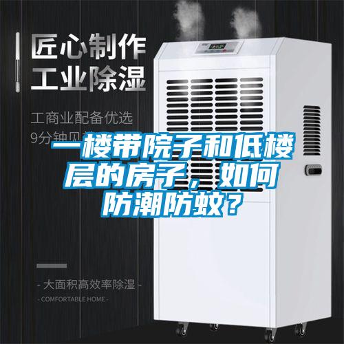 一樓帶院子和低樓層的房子，如何防潮防蚊？