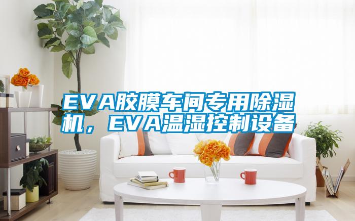 EVA膠膜車間專用91看片网站视频機，EVA溫濕控製設備