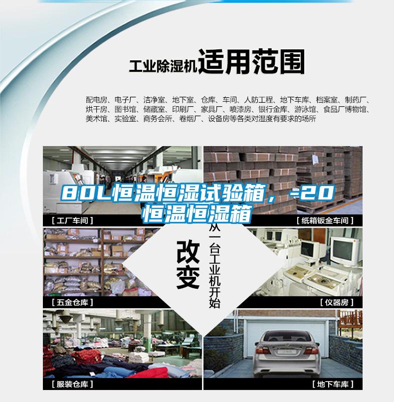80L恒溫恒濕試驗箱，-20℃恒溫恒濕箱