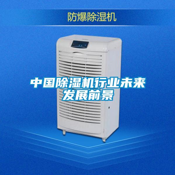 中國91看片网站视频機行業未來發展前景