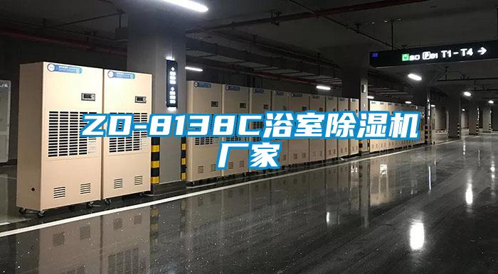 ZD-8138C浴室91看片网站视频機廠家