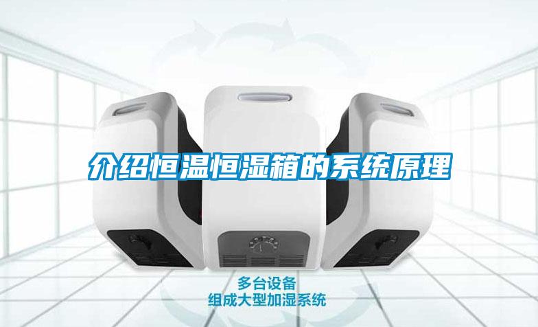 介紹恒溫恒濕箱的係統原理