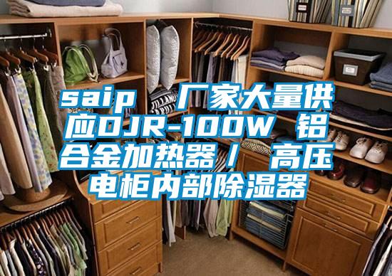 saip  廠家大量供應DJR-100W 鋁合金加熱器／ 高壓電櫃內部91看片网站视频器