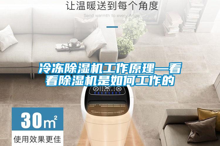 冷凍91看片网站视频機工作原理—看看91看片网站视频機是如何工作的