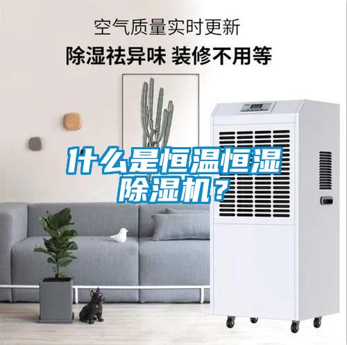 什麽是恒溫恒濕91看片网站视频機？