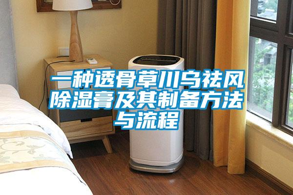 一種透骨草川烏祛風91看片网站视频膏及其製備方法與流程