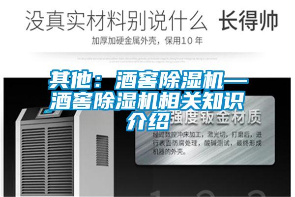 其他：酒窖91看片网站视频機—酒窖91看片网站视频機相關知識介紹