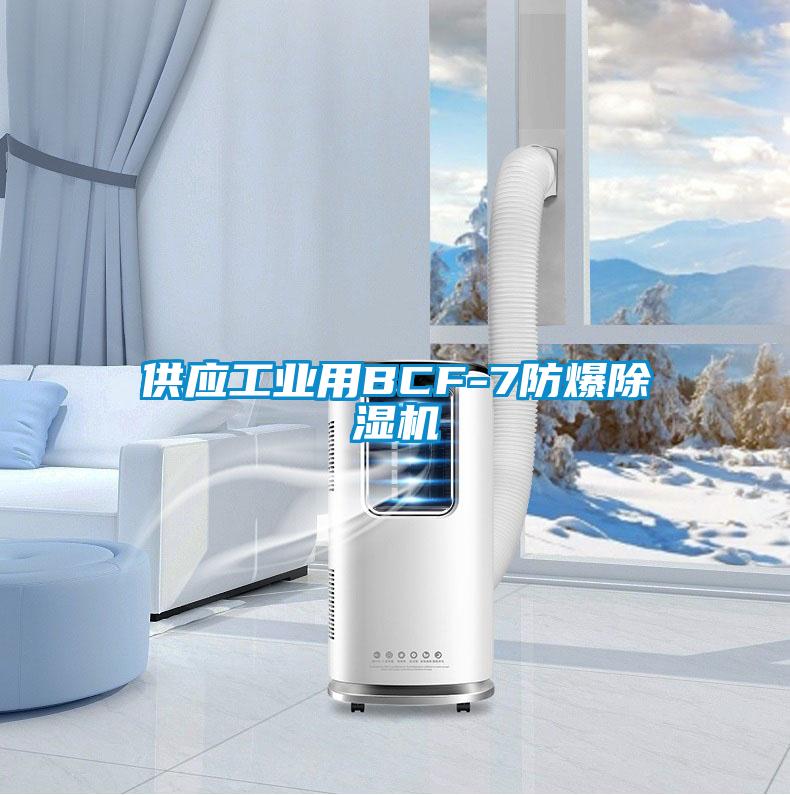 供應工業用BCF-7防爆91看片网站视频機