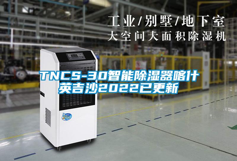 TNCS-30智能91看片网站视频器喀什英吉沙2022已更新