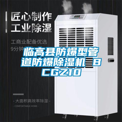 臨高縣防爆型管道防爆91看片网站视频機 BCGZ10