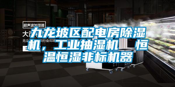 九龍坡區配電房91看片网站视频機，工業抽濕機  恒溫恒濕非標機器