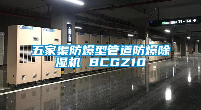 五家渠防爆型管道防爆91看片网站视频機 BCGZ10