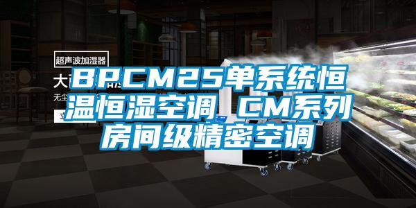 BPCM25單係統恒溫恒濕空調 CM係列房間級精密空調