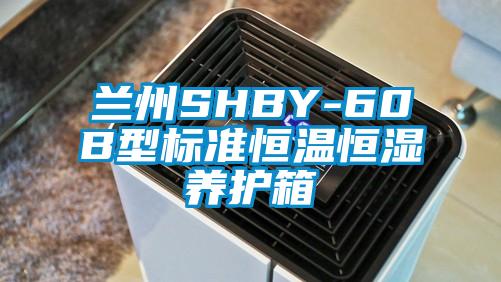 蘭州SHBY-60B型標準恒溫恒濕養護箱