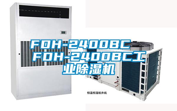 FDH-2400BC  FDH-2400BC工業91看片网站视频機