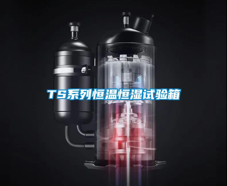 TS係列恒溫恒濕試驗箱