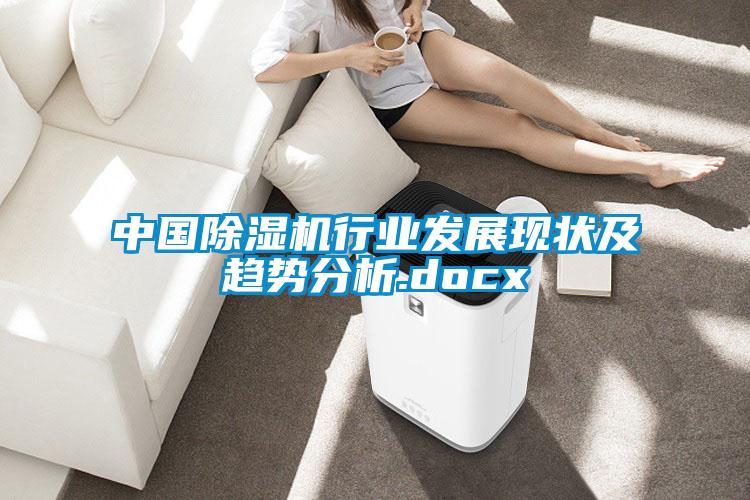 中國91看片网站视频機行業發展現狀及趨勢分析.docx