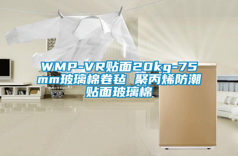 WMP-VR貼麵20kg-75mm玻璃棉卷氈 聚丙烯防潮貼麵玻璃棉