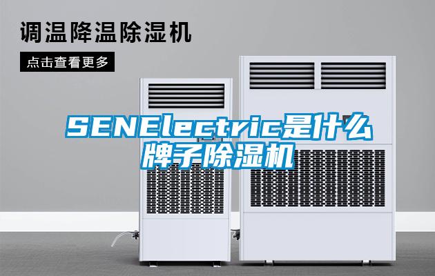 SENElectric是什麽牌子91看片网站视频機