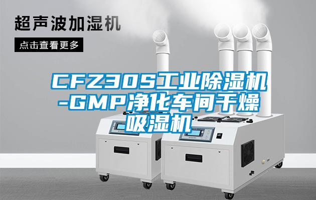 CFZ30S工業91看片网站视频機-GMP淨化車間幹燥吸濕機