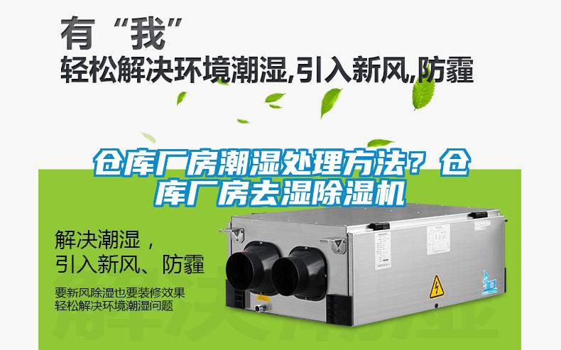 倉庫廠房潮濕處理方法？倉庫廠房去濕91看片网站视频機