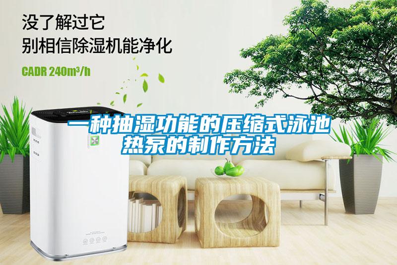 一種抽濕功能的壓縮式泳池熱泵的製作方法