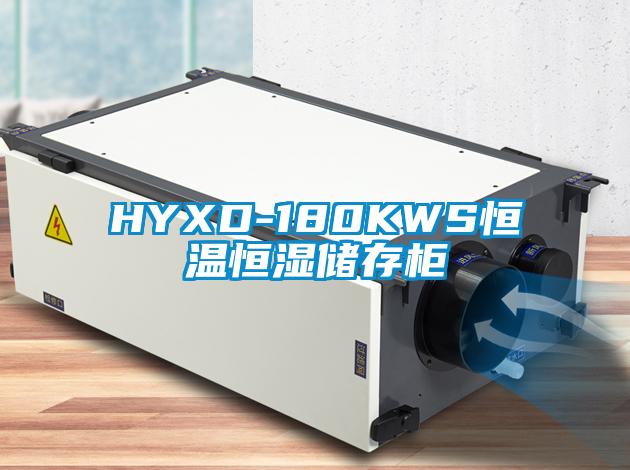 HYXD-180KWS恒溫恒濕儲存櫃