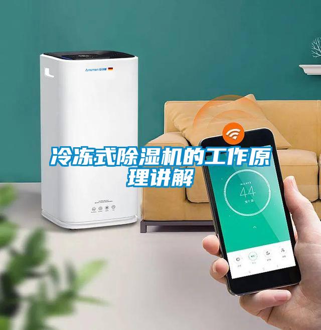 冷凍式91看片网站视频機的工作原理講解