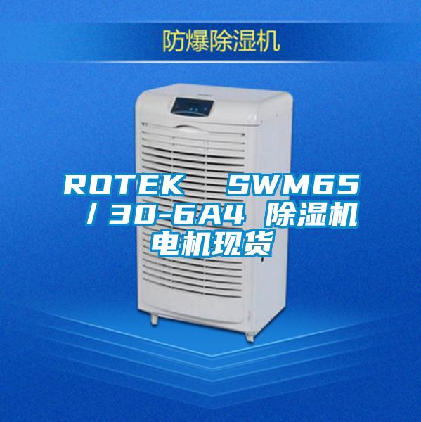 ROTEK  SWM65／30-6A4 91看片网站视频機電機現貨