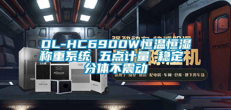 DL-HC6900W恒溫恒濕稱重係統 五點計量 穩定 分體不震動