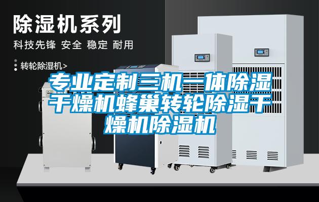 專業定製三機一體91看片网站视频幹燥機蜂巢轉輪91看片网站视频幹燥機91看片网站视频機
