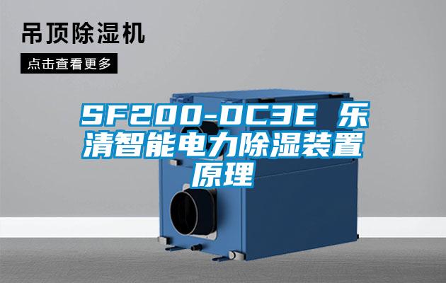 SF200-DC3E 樂清智能電力91看片网站视频裝置原理