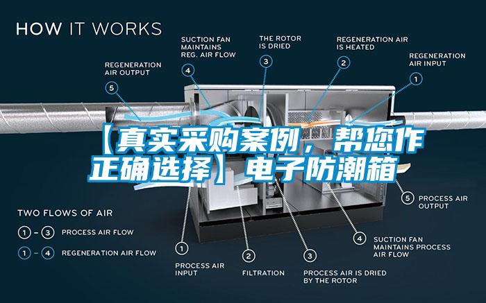 【真實采購案例，幫您作正確選擇】電子防潮箱