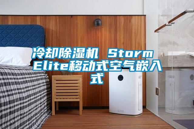 冷卻91看片网站视频機 Storm Elite移動式空氣嵌入式