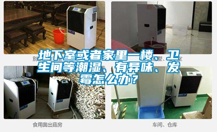 地下室或者家裏一樓、衛生間等潮濕、有異味、發黴怎麽辦？