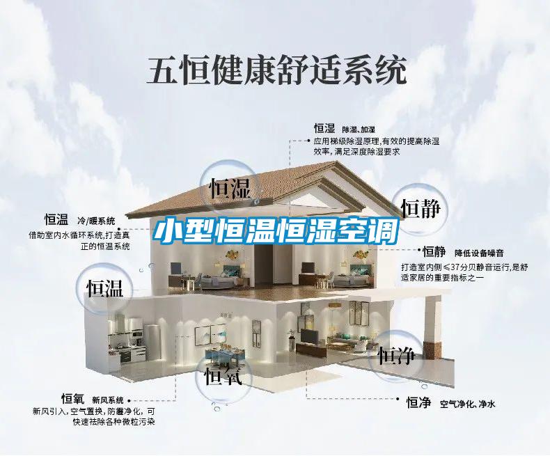 小型恒溫恒濕空調