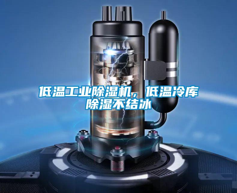 低溫工業91看片网站视频機，低溫冷庫91看片网站视频不結冰