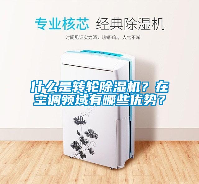 什麽是轉輪91看片网站视频機？在空調領域有哪些優勢？