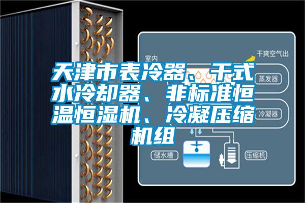 天津市表冷器、幹式水冷卻器、非標準恒溫恒濕機、冷凝壓縮機組