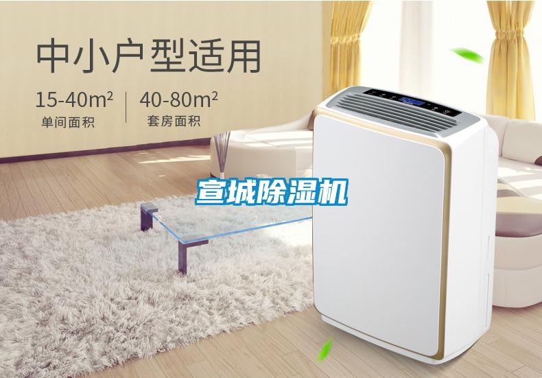 宣城91看片网站视频機