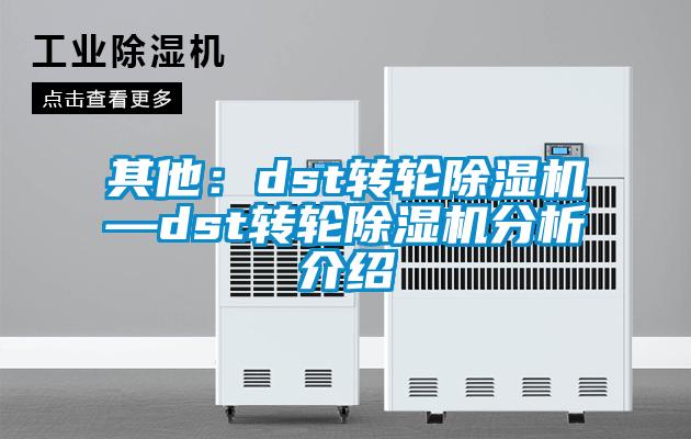 其他：dst轉輪91看片网站视频機—dst轉輪91看片网站视频機分析介紹