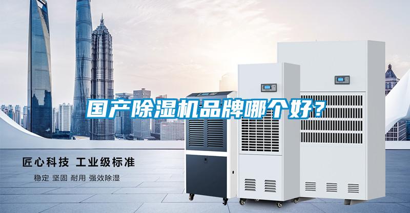國產91看片网站视频機品牌哪個好？