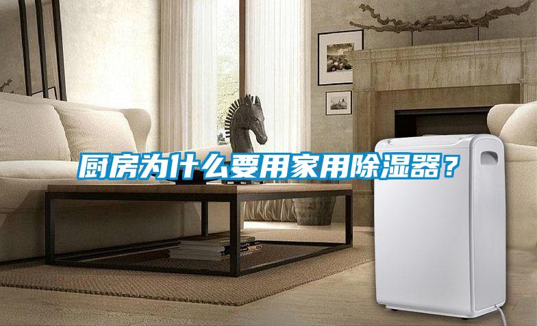 廚房為什麽要用家用91看片网站视频器？