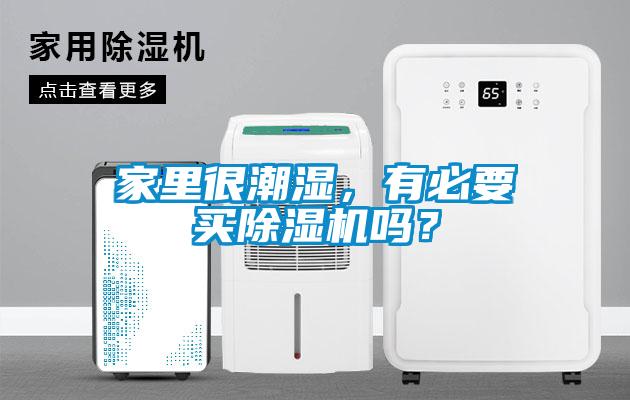 家裏很潮濕，有必要買91看片网站视频機嗎？